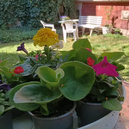 Kleine Oase